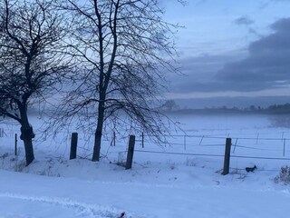 Casa de vacaciones Eschede Entorno 28