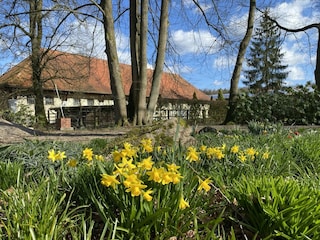 Vakantiehuis Eschede  38