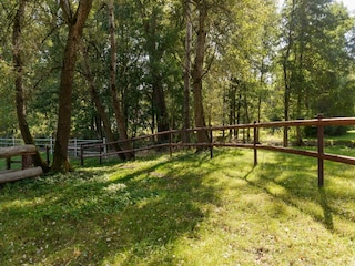 Ferienhaus Eschede Außenaufnahme 3