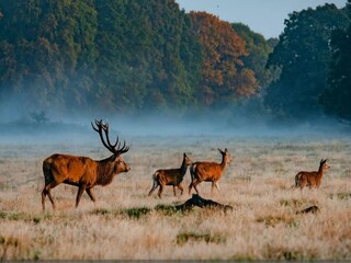 Holiday house Richmond (London) Environment 30