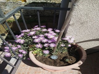 Apartment Pasadur  12