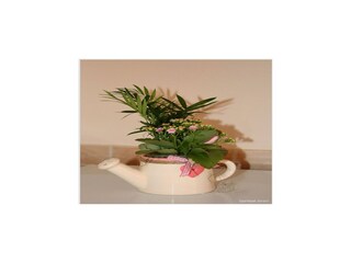 Apartment Rogoznica  14