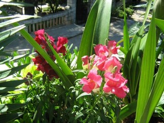 Apartment Mokošica Außenaufnahme 2