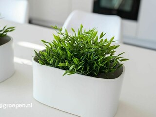 Villa Kamperland  25