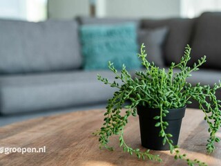 Villa Kamperland  27