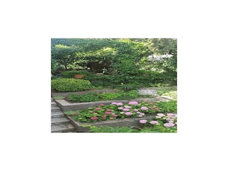 Apartment Mlini Außenaufnahme 3