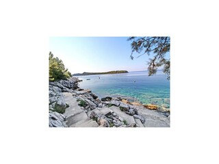 Apartamento Vela Luka  11