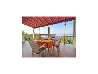 Apartamento Vela Luka  1