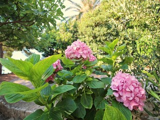 Appartamento Lumbarda Registrazione all'aperto 2