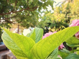 Appartamento Lumbarda Registrazione all'aperto 3