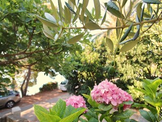 Appartamento Lumbarda Registrazione all'aperto 4