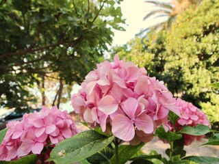 Appartamento Lumbarda Registrazione all'aperto 5