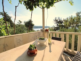 Apartment Lumbarda  28
