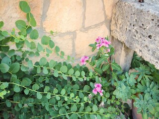 Appartamento Lumbarda Registrazione all'aperto 7