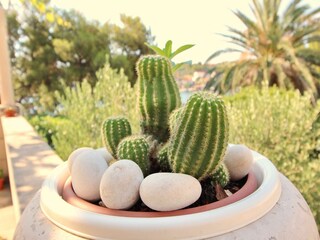 Appartamento Lumbarda Registrazione all'aperto 8