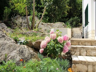 Ferienhaus Ston Außenaufnahme 7