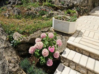 Ferienhaus Ston Außenaufnahme 12