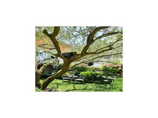 Ferienhaus Ston Außenaufnahme 13