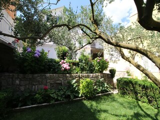 Ferienhaus Ston Außenaufnahme 14