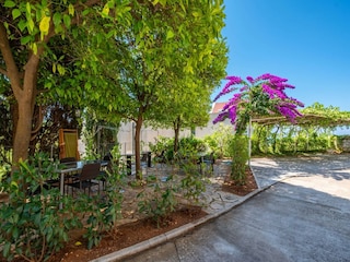 Apartment Mlini  9