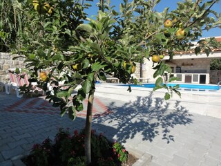 Villa Mokošica Outdoor Recording 10