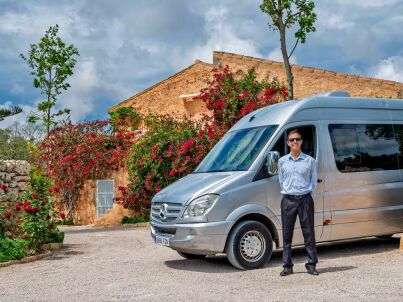 Company COMIC SUN MALLORCA, SOCIEDAD LIMITADA - Mr Elizabeth Llano