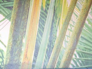 Ferienhaus Puntiro Außenaufnahme 11