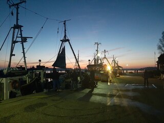 Die Boote sind wieder da