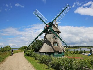 Mühle Charlotte Geltinger Birk