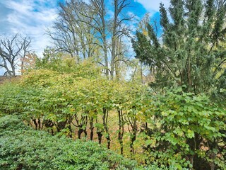 Ferienwohnung Niendorf (Ostsee) Außenaufnahme 3