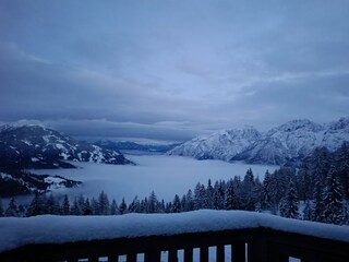 Ausblick