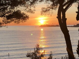 Maison de vacances Bandol Environnement 33