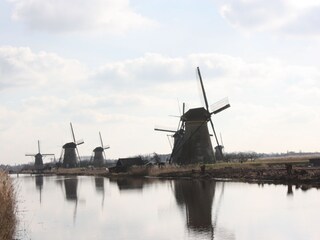 Fattoria Polsbroek Ambiente 14