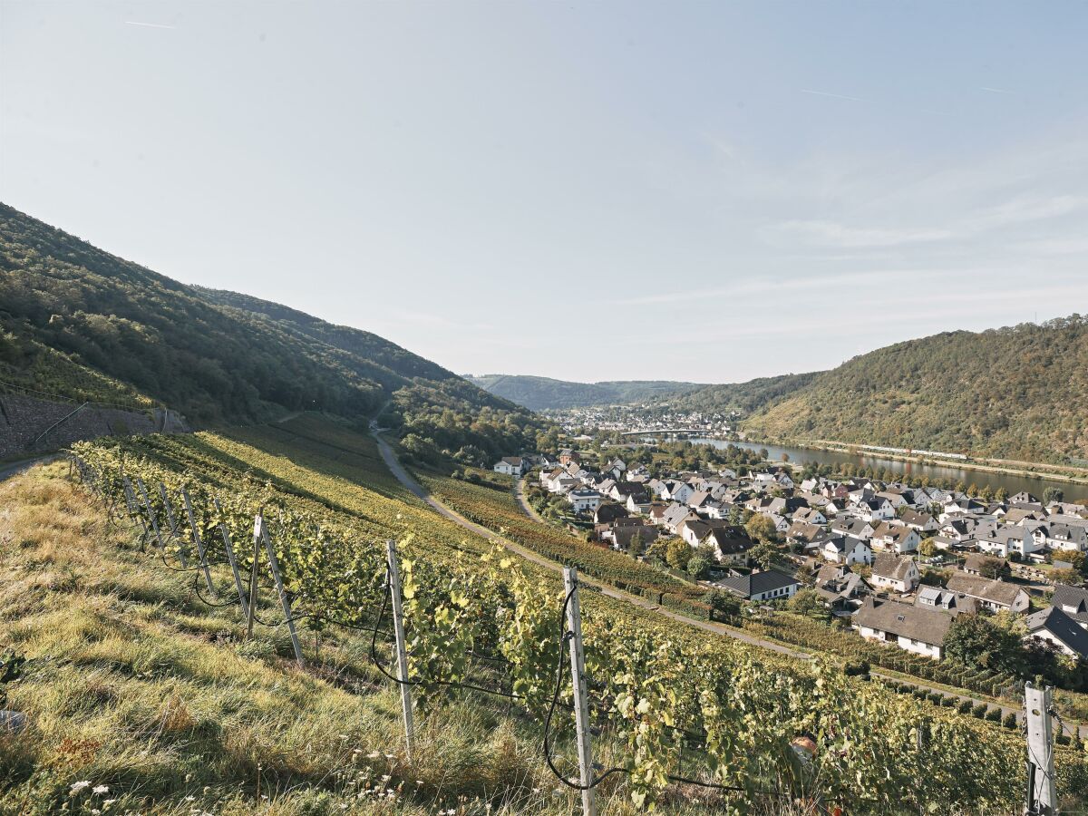 Apartment Ferienweingut Löhr