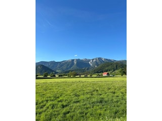 Sommerbilder Österreich (4)