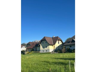 Sommerbilder Österreich (5)