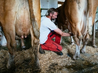 uab_ooe_ferienhof-rabenreith-hofgschichtn_(c)golln