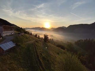 IMG_20250430_061118