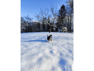 IMG_20250116_144948