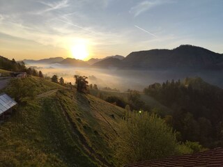 IMG_20250430_061109