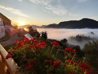 IMG_20250713_053732