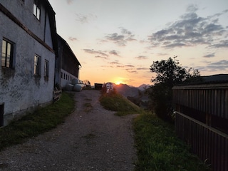 IMG_20250806_060135