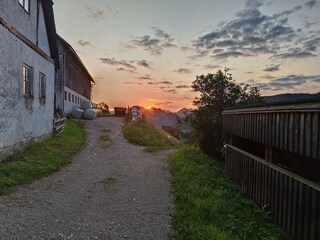 IMG_20250806_060141