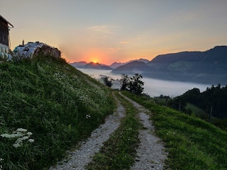 IMG_20250810_060607