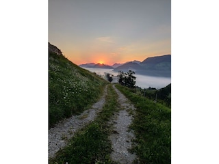 IMG_20250810_060624