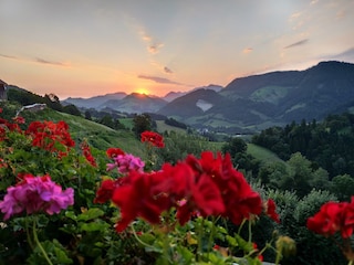 IMG_20250811_060717