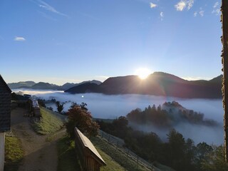 IMG_20251004_074443