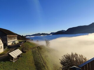 IMG_20251107_074101