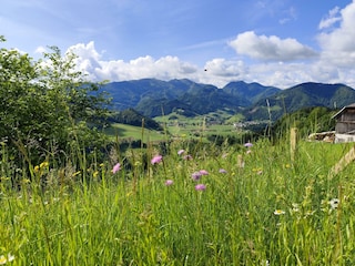 IMG_20240523_091752
