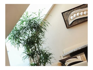 01_web_20100819_zimmer-34_dsc_4260_029